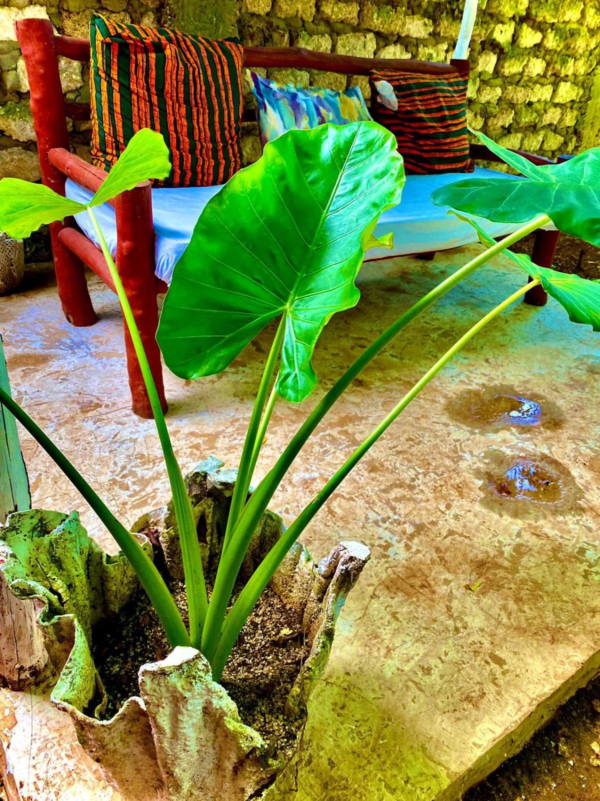 African Hut Tiny Cottage Diani Beach Buitenkant foto