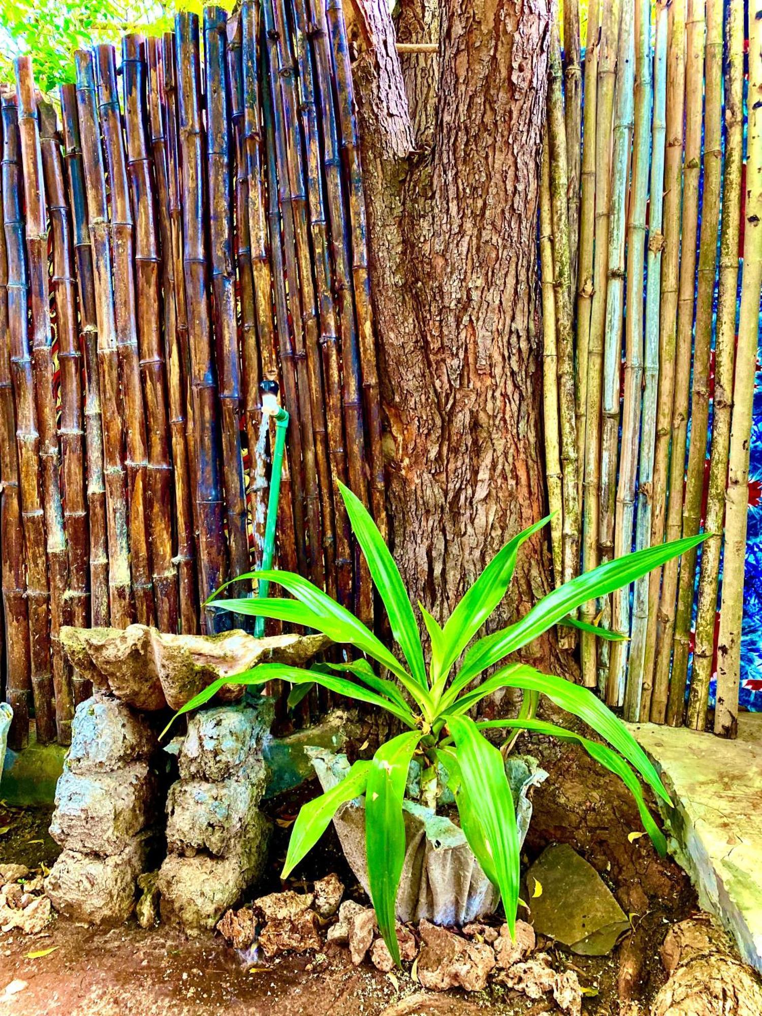 African Hut Tiny Cottage Diani Beach Buitenkant foto
